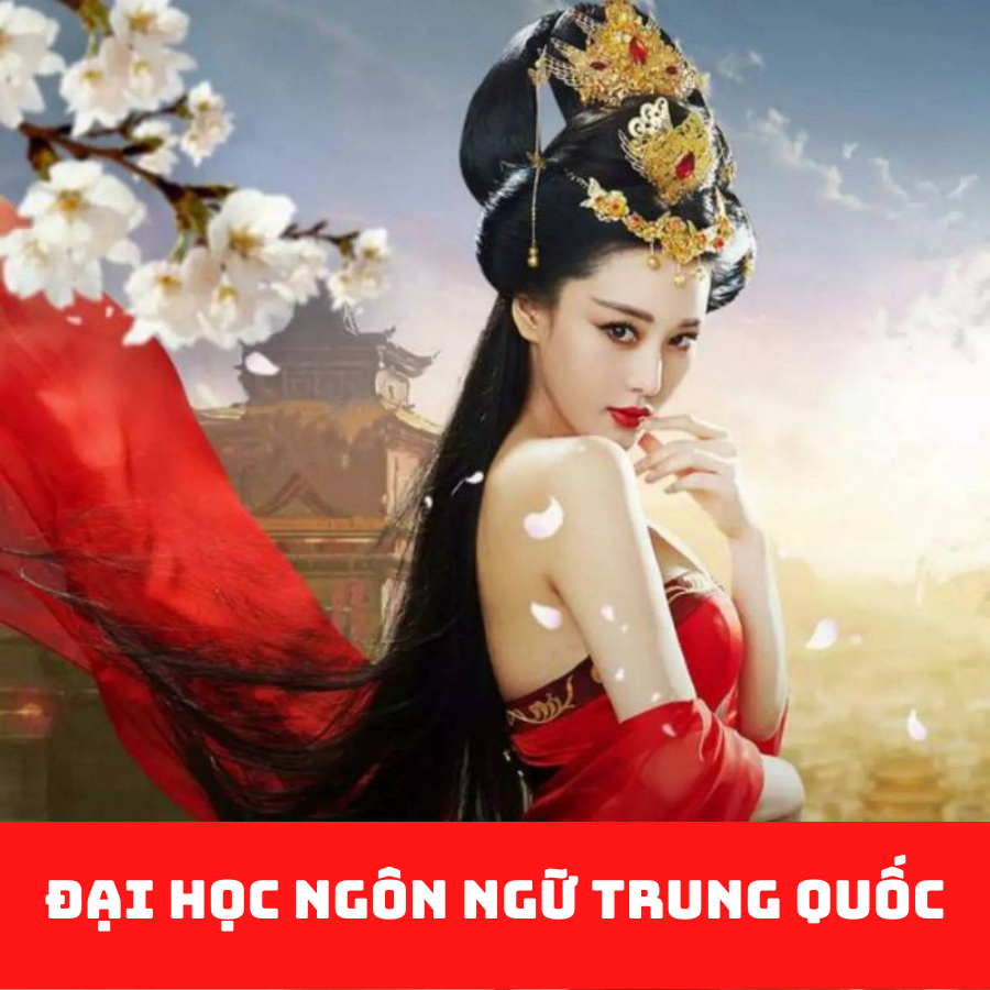 Học Văn Bằng 2 Tiếng Trung Online